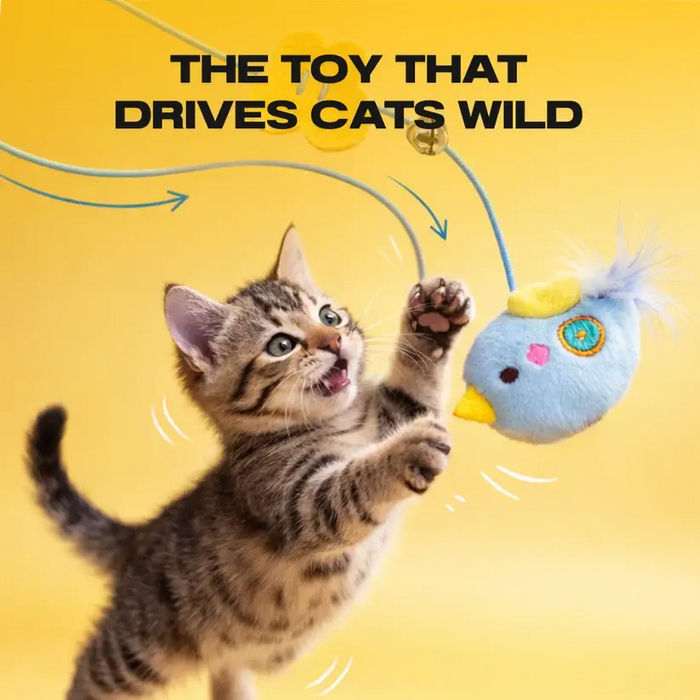 Automatic Cat Teaser